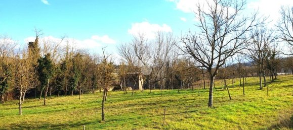 82600m² Land in Paliano, Italy No. 342496 11