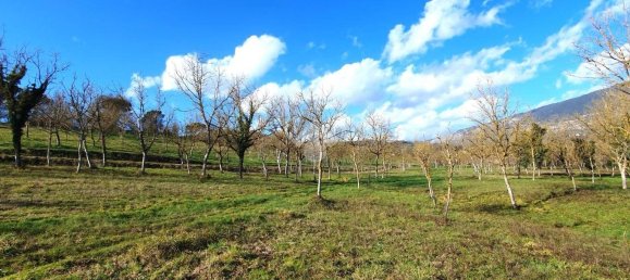 82600m² Land in Paliano, Italy No. 342496 13