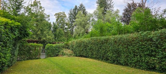 Studio in Geidorf, Austria No. 214803 8