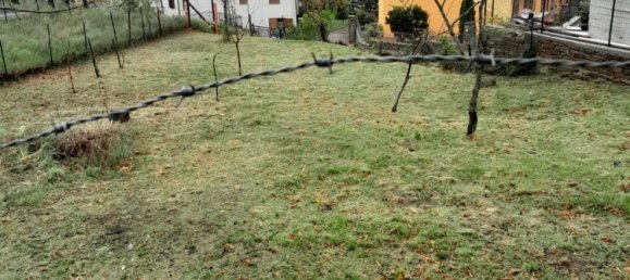 5-Zimmer Wohnung in Castel del Piano, Italy, Nr. 49538 5