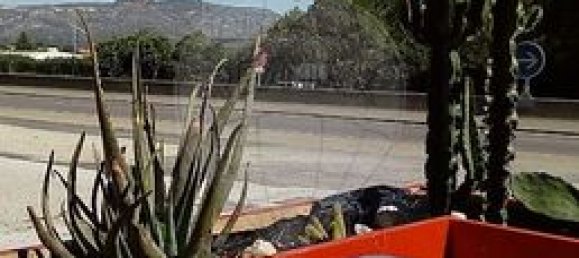 Gewerbliche Immobilie in Ceyreste, France 210m², Nr. 289592 6