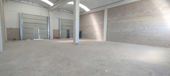 238m² Warehouse in Cartuja Baja, Spain No. 64936 10
