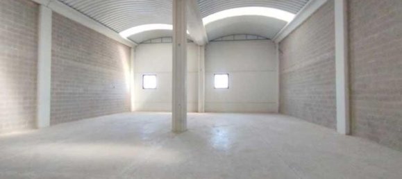 238m² Warehouse in Cartuja Baja, Spain No. 64936 3