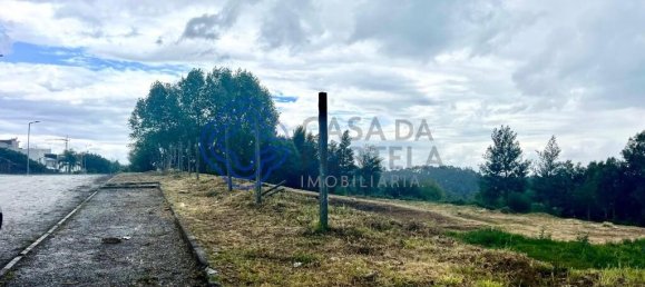 Grundstück in Oliveira de Azemeis, Portugal 5173m², Nr. 61734 20