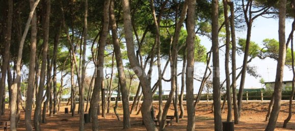 6 bedrooms Villa in Alba Adriatica, Italy No. 162252 27