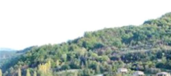 Grundstück in Apecchio, Italy 59993m², Nr. 294351 7