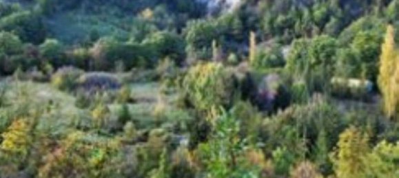 Grundstück in Apecchio, Italy 59993m², Nr. 294351 9