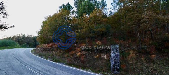 Grundstück in Baiao, Portugal 28570m², Nr. 36134 2