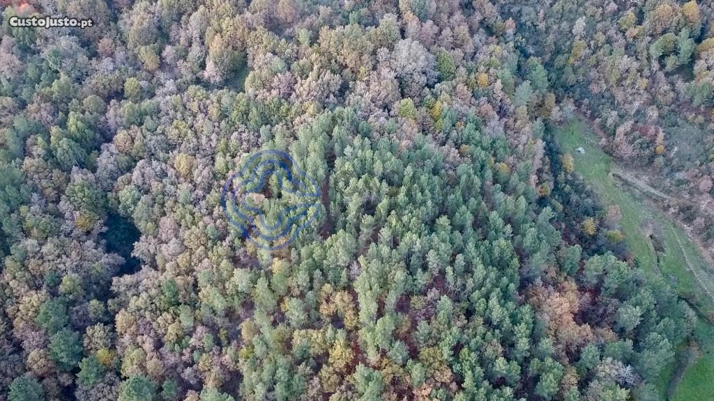 Grundstück in Baiao, Portugal 28570m², Nr. 36134