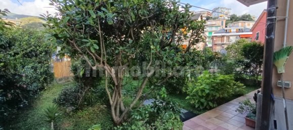 1 bedroom Apartment in Moneglia, Italy No. 349989 15