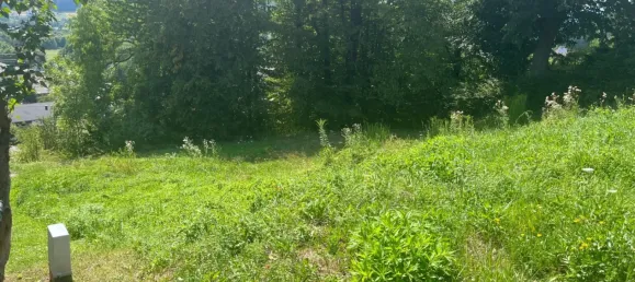 823m² Land in Wernberg, Austria No. 114445 5