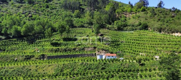 2 bedrooms House in Vieira do Minho, Portugal No. 32919 6