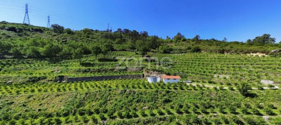 2 bedrooms House in Vieira do Minho, Portugal No. 32919 9