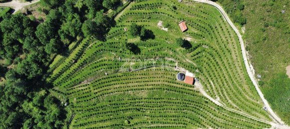 2 bedrooms House in Vieira do Minho, Portugal No. 32919 22