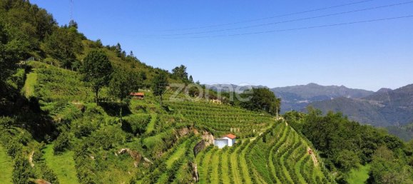 2 bedrooms House in Vieira do Minho, Portugal No. 32919 5