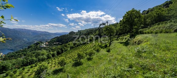 2 bedrooms House in Vieira do Minho, Portugal No. 32919 14