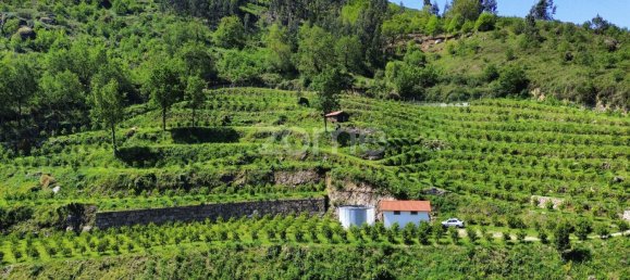 2 bedrooms House in Vieira do Minho, Portugal No. 32919 10