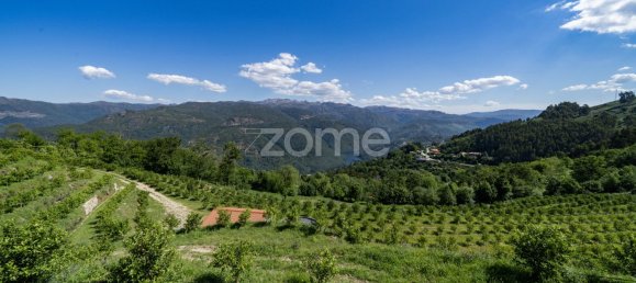 2 bedrooms House in Vieira do Minho, Portugal No. 32919 18