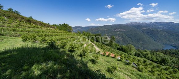 2 bedrooms House in Vieira do Minho, Portugal No. 32919 15