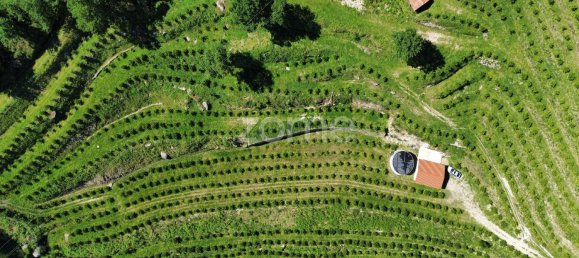 2 bedrooms House in Vieira do Minho, Portugal No. 32919 7