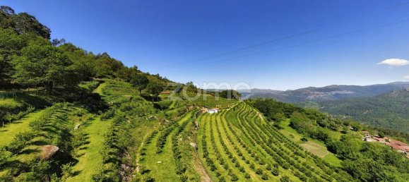 2 bedrooms House in Vieira do Minho, Portugal No. 32919 8