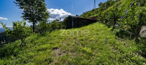 2 bedrooms House in Vieira do Minho, Portugal No. 32919 19