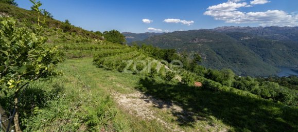 2 bedrooms House in Vieira do Minho, Portugal No. 32919 16