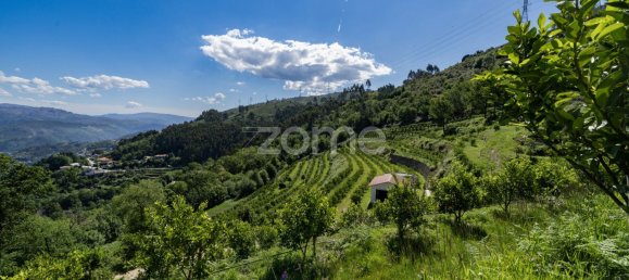 2 bedrooms House in Vieira do Minho, Portugal No. 32919 17