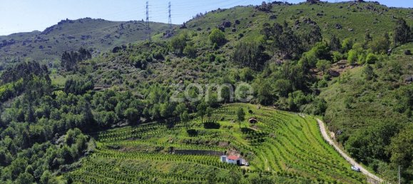 2 bedrooms House in Vieira do Minho, Portugal No. 32919 3