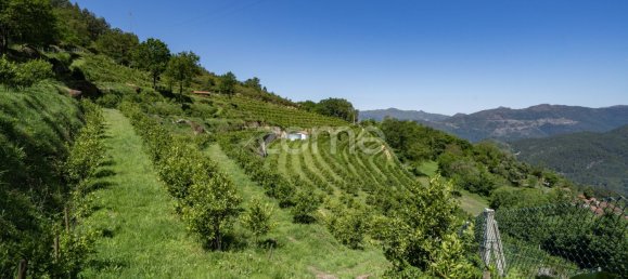 2 bedrooms House in Vieira do Minho, Portugal No. 32919 13