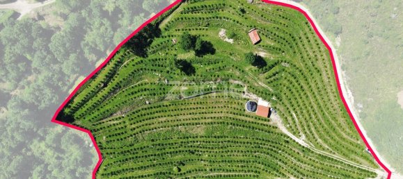 2 bedrooms House in Vieira do Minho, Portugal No. 32919 23