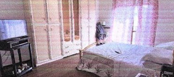 3 rooms Apartment in Trecate, Italy No. 7462 11