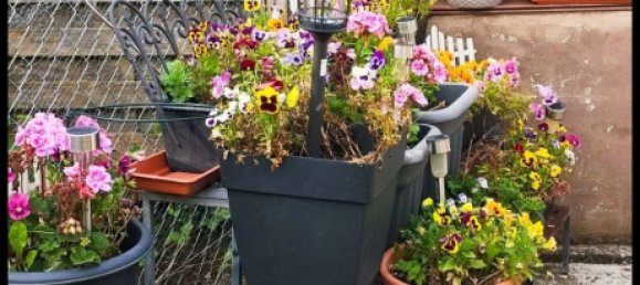 2 bedrooms House in Gunzburg, Germany No. 151920 21