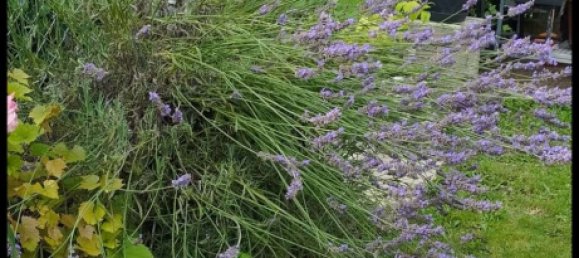 2 bedrooms House in Gunzburg, Germany No. 151920 18