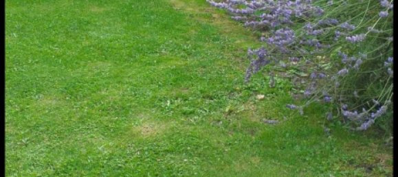 2 bedrooms House in Gunzburg, Germany No. 151920 4