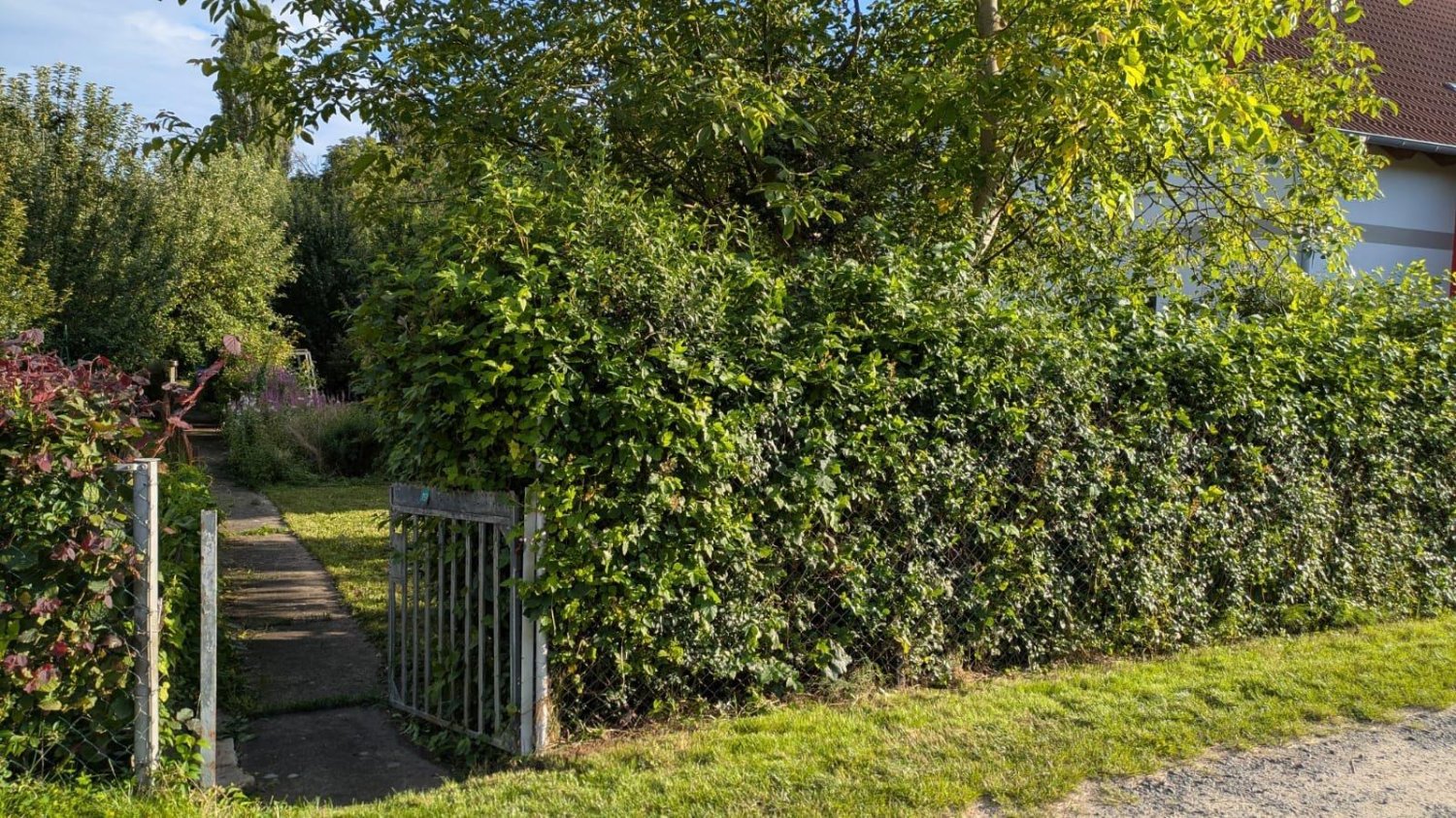 Земельный участок в Oberhavel, Германия № 227475