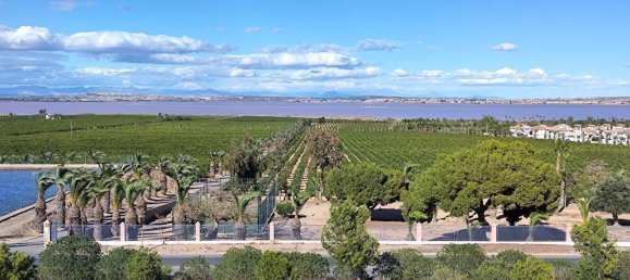 2 Schlafzimmer Haus in Torrevieja, Spain, Nr. 165612 40