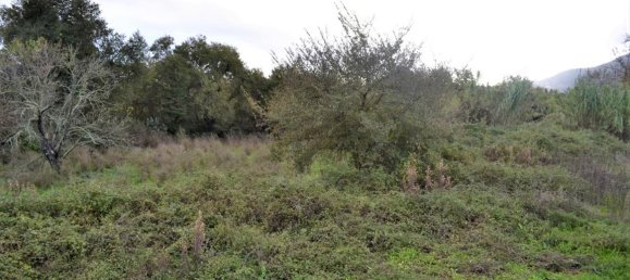 Hotel en Corfu, Greece 4200 m² No. 4433 8