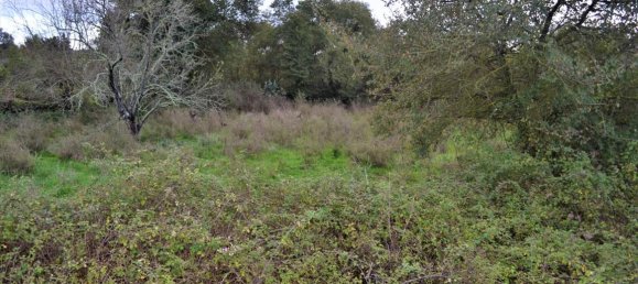 Hotel en Corfu, Greece 4200 m² No. 4433 7