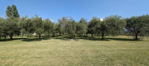  Land in Bassano del Grappa, Italy No. 363607 2