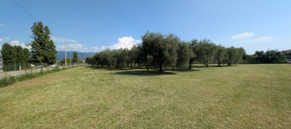  Land in Bassano del Grappa, Italy No. 363607 17