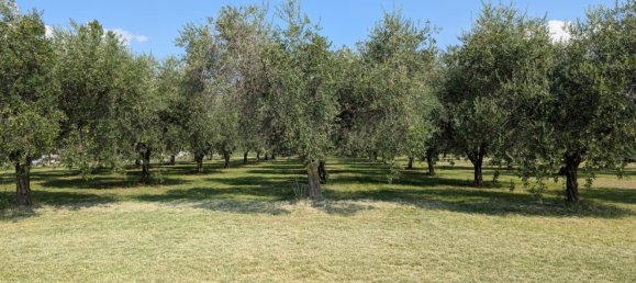  Land in Bassano del Grappa, Italy No. 363607 6
