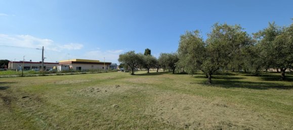  Land in Bassano del Grappa, Italy No. 363607 11