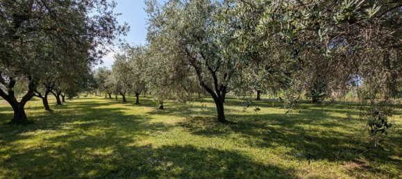  Land in Bassano del Grappa, Italy No. 363607 15