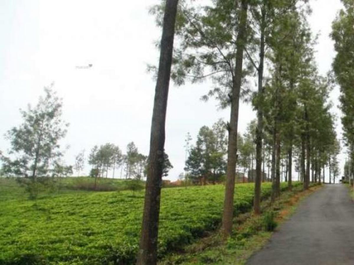  Land in Tamil Nadu, India No. 38623