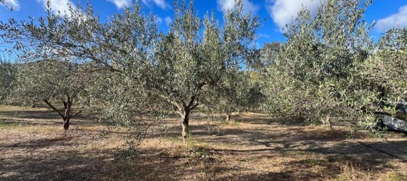 3 rooms House in Sardinia, Italy No. 242563 13