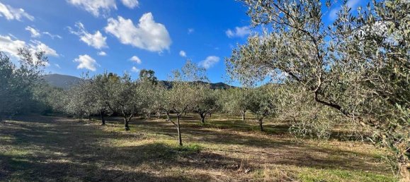 3 rooms House in Sardinia, Italy No. 242563 15