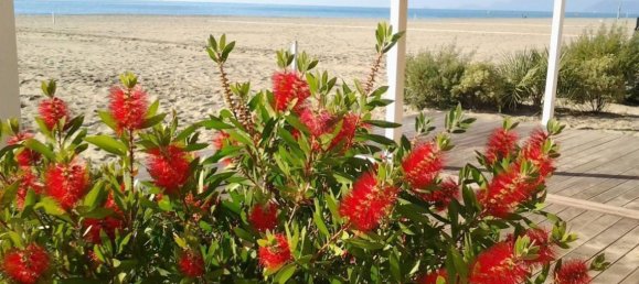 9غرفة شقة في Ameglia, Italy رقم 153631 35