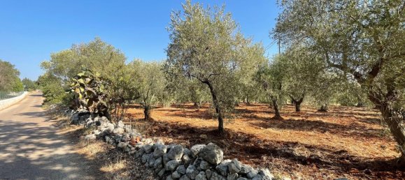 Дом с 6 комнатами в Каровиньо, Италия № 151823 21