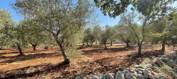 Дом с 6 комнатами в Каровиньо, Италия № 151823 20